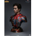 Marvel: The Avengers Infinity War - Iron Spider-Man Marvel: The Avengers Infinity War - Iron Spider-Man