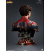 Marvel: The Avengers Infinity War - Iron Spider-Man Marvel: The Avengers Infinity War - Iron Spider-Man