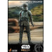 The Mandalorian - Transport Trooper