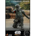 The Mandalorian - Transport Trooper