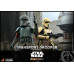 The Mandalorian - Transport Trooper