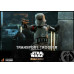 The Mandalorian - Transport Trooper