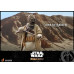 The Mandalorian - Tusken Raider