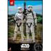 The Mandalorian - Stormtrooper Commander