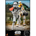 The Mandalorian - Stormtrooper Commander