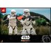 The Mandalorian - Stormtrooper Commander