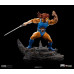 Thundercats - Lion-O Battle Version BDS Art