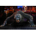American Werewolf In London - Kessler Wolf American Werewolf In London - Kessler Wolf