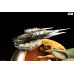 (PREVENTA) Star Wars: The Mandalorian - The Mandalorian Fine Art