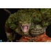 (PREVENTA) DC Comics - Killer Croc