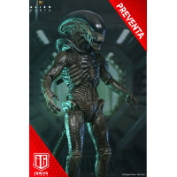 (PREVENTA) Alien: Earth - Ultimate Xenomorph (PREVENTA) Alien: Earth - Ultimate Xenomorph