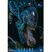 (PREVENTA) Alien - Alien Queen