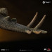 (PREVENTA) The Lost World: Jurassic Park - Stegosaurus (PREVENTA) The Lost World: Jurassic Park - Stegosaurus