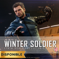 The Falcon And The Winter Soldier - Winter Soldier