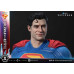 (PREVENTA) Superman - Superman & Krypto (Real Elite Masterline) (PREVENTA) Superman - Superman & Krypto (Real Elite Masterline)