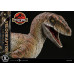 (PREVENTA) The Lost World Jurassic Park - Velociraptor (Legacy Museum Collection)