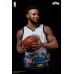 (PREVENTA) NBA Warriors - Stephen Curry