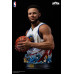 (PREVENTA) NBA Warriors - Stephen Curry