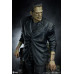 (PREVENTA) Universal Monsters - Frankenstein (Collector) Edition)
