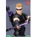 Marvel Avengers - hawkeye (ArtFX) Marvel Avengers - hawkeye (ArtFX)