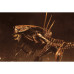 (PREVENTA) Alien Resurrection - Alien Queen (Ultra Deluxe Boxed)