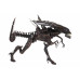 (PREVENTA) Alien Resurrection - Alien Queen (Ultra Deluxe Boxed)
