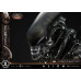 (PREVENTA) Alien (Film) - Big Chap Xenomorph (Deluxe Version) (Close Up Shot Ver) (Museum Masterline XL (PREVENTA) Alien (Film) - Big Chap Xenomorph (Deluxe Version) (Close Up Shot Ver) (Museum Masterline XL