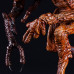 (PREVENTA) The Fly (1986 Sci-Fi/Horror Film) (PREVENTA) The Fly (1986 Sci-Fi/Horror Film)
