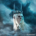 (PREVENTA) Lord Of The Rings The Return Of The King - Nazgul King Art Mask