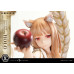 (PREVENTA) Spice And Wolf Merchant Meets The Wise Wolf - Holo (Concept Masterline)