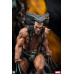 (PREVENTA) Marvel Universe - Wolverine Fine Art (Standar Edition)
