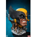 (PREVENTA) Marvel Universe - Wolverine Fine Art (Standar Edition)