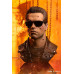 (PREVENTA) Terminator 2 - T-800 Model 101 (Battle Damaged) Art Mask