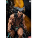 (PREVENTA) Marvel Universe - Wolverine Fine Art (Deluxe Edition) (PREVENTA) Marvel Universe - Wolverine Fine Art (Deluxe Edition)