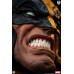 (PREVENTA) Marvel Universe - Wolverine Fine Art (Deluxe Edition) (PREVENTA) Marvel Universe - Wolverine Fine Art (Deluxe Edition)