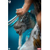 (PREVENTA) Marvel Universe - Wolverine Fine Art (Deluxe Edition) (PREVENTA) Marvel Universe - Wolverine Fine Art (Deluxe Edition)