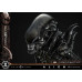 (PREVENTA) Alien (Film) - Big Chap Xenomorph (Close Up Shot Ver) (Museum Masterline XL)