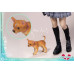 (PREVENTA) Girl Crush - Momoko (Winter Uniform Version)