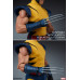 X-Men - Wolverine