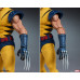 X-Men - Wolverine