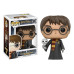 Harry Potter - Harry With Hedwig