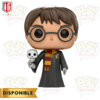 Harry Potter - Harry With Hedwig