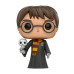 Harry Potter - Harry With Hedwig