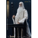 (PREVENTA) The Lord Of The Rings  - Saruman