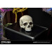 Justice League Dark - Zatanna (Deluxe Version) (Museum Masterline)