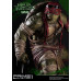 Teenage Mutant Ninja Turtles TMNT (2014) - Raphael (Museum Masterline)
