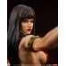 (PREVENTA) Vampirella (By The Pulpy Posters Of The 1970) (PREVENTA) Vampirella (By The Pulpy Posters Of The 1970)