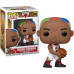 NBA Chicago Bulls - Dennis Rodman