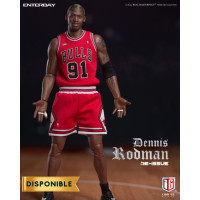 Collection NBA Chicago Bulls - Dennis Rodman (Limited Edition)
