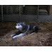 The Thing - Deluxe Ultimate Dog Creature